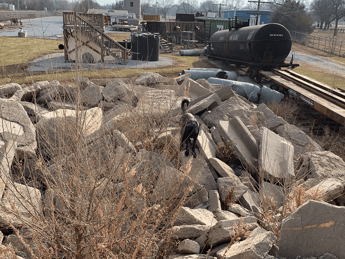 Dog working a rubble pile during search training