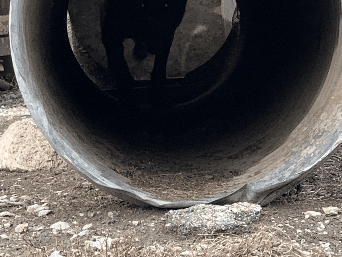 Dog working through a large pipe during confined-space search training
