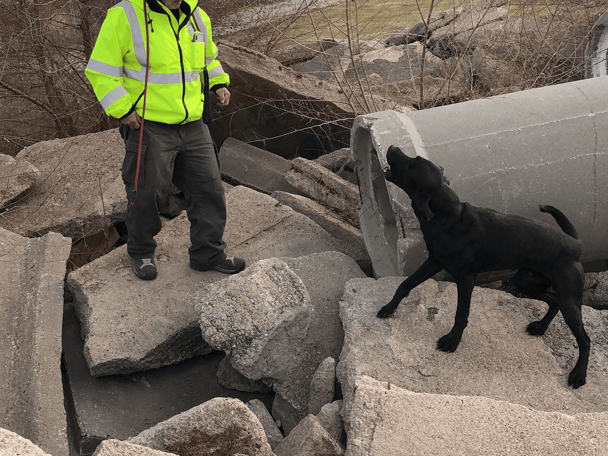 Handler and dog working a rubble pile together